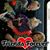 Felicia Vanderploeg's profile image