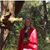 Liesbeth Franse's profile image
