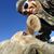 Coni Anderson's profile image