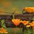 Holly Halbrook Rueden's profile image