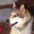 Terry Chriesman's profile image