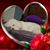 Shaila Marie Rector's profile image
