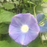 jerri d.'s profile image