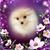 Marlene Miller's profile image