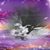 Gina Adams Lopez's profile image