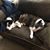 Wendy Melgin's profile image