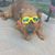 Cleo Lopez-Ulibas's profile image