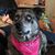 Brenda Logar's profile image