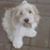 Terri Sampson's profile image