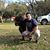 Hernan Tozzi's profile image