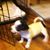 Cecilia Pounds's profile image