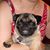 Kimberly Reale Wiggins's profile image