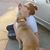 Emma Backlund's profile image