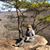 Kimberly Bell Schultheis's profile image
