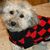 Jacy Martin-Mhoon's profile image