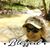 Brenda Storm Keeley's profile image