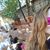 Lisa Ilene McCurry - Lee's profile image