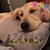Christine Thomas-O'Meally's profile image