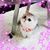 Tina Gray's profile image