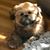 Gina Lynd Freeman's profile image
