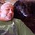 Joseph J Gabriel's profile image