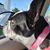 Ranae Cole Vogelsong's profile image