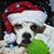 Tonya Ewalt's profile image
