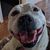Debbie Jones's profile image