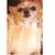 Mindy Palomo's profile image