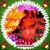 Sheila M Stenerson's profile image