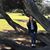 Amanda K Jones's profile image