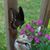 Dawnieta Sharrar-Myers's profile image