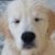 Bill Ernst IV's profile image
