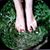 Chiara Sapiente's profile image