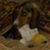 Jo Ann Gibbs's profile image