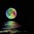 Theresa Roeill's profile image