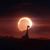Carolina Razsa's profile image