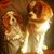 Megan Armes's profile image