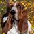 Terri Asher's profile image