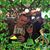 Scott Klimek's profile image