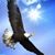 Gregory Torres's profile image