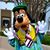 Rick Stouten's profile image