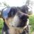 Star Galvan's profile image