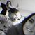 Georgina Durazo's profile image