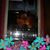 Patricia Druin's profile image
