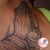 William Altizer's profile image