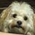Elizabeth Ann's profile image