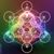 Pythagoras Caro's profile image