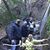 Patricia Shuttleworth's profile image