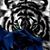 Lisa B Smith's profile image